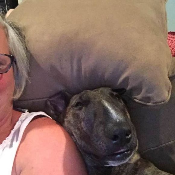 Meet your Posher, Judy - Picture 1 of 1